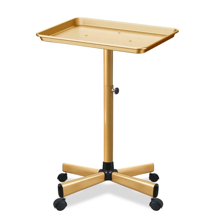 Aluminum Beauty Rolling Cart w - Beauty Makeup Store review and price